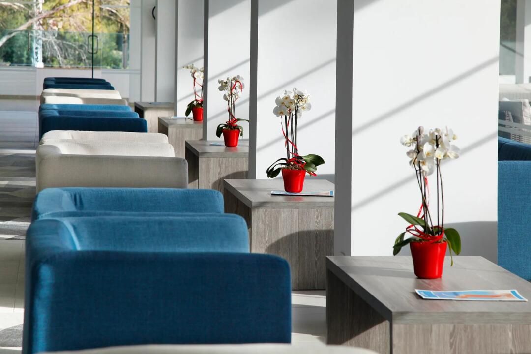 Hôtel Alua Soul Carolina 4* pas cher photo 5