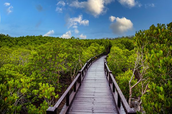 Pranburi, MyClub Dolphin Bay Resort 3/4 3*Formule Sourire du Siam 2* 1 semaine achetée = 1 semaine o pas cher