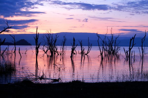 Du Masai Mara aux Rivages de Zanzibar, plage de Kiwengwa pas cher photo 4