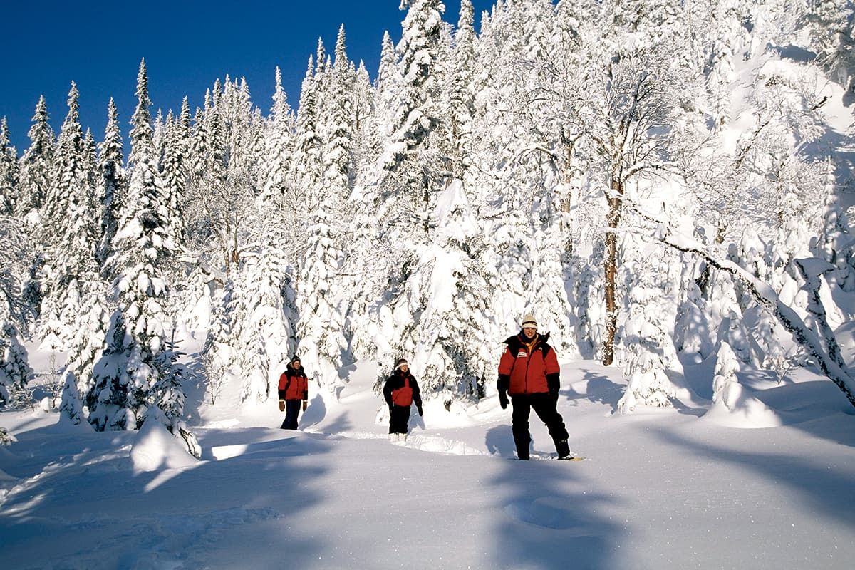 Séjour Multiactivités Retour Aux Sources 4* pas cher photo 6