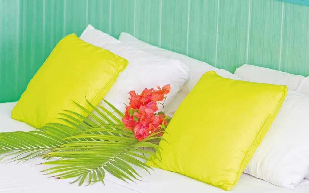 Résidence Tropicale pas cher photo 8