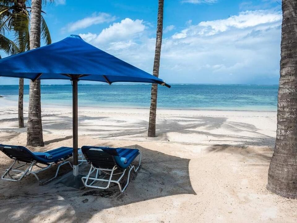 Hôtel Flamingo Beach Resort 4* pas cher photo 7