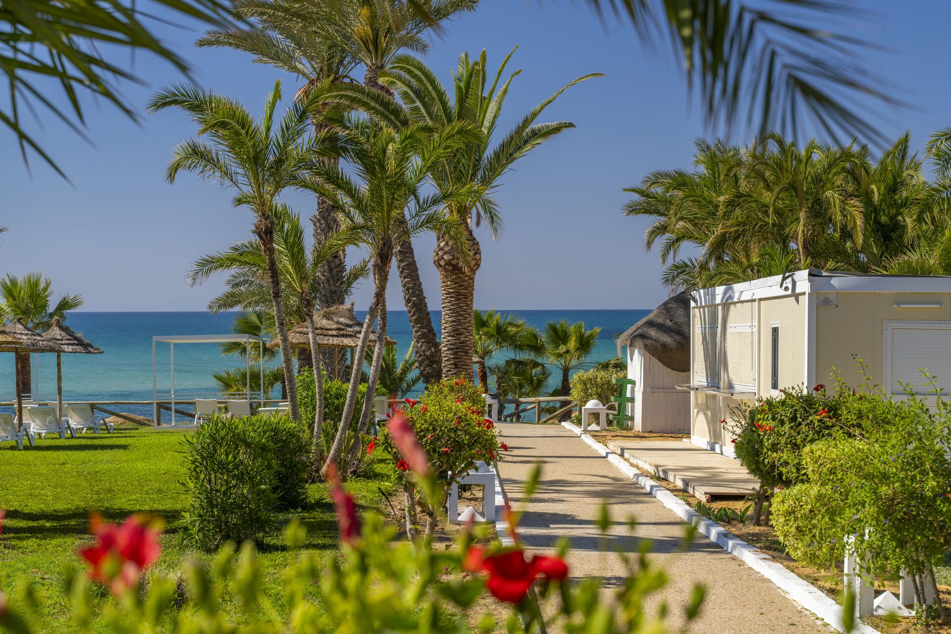 Jet Tours Signature Palm Beach Hammamet 4* pas cher photo 5