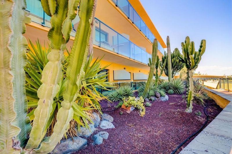 SBH PARAISO PLAYA 4* pas cher photo 4