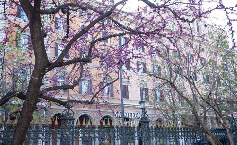 Napoleon 4* - Sans transfert pas cher photo 2