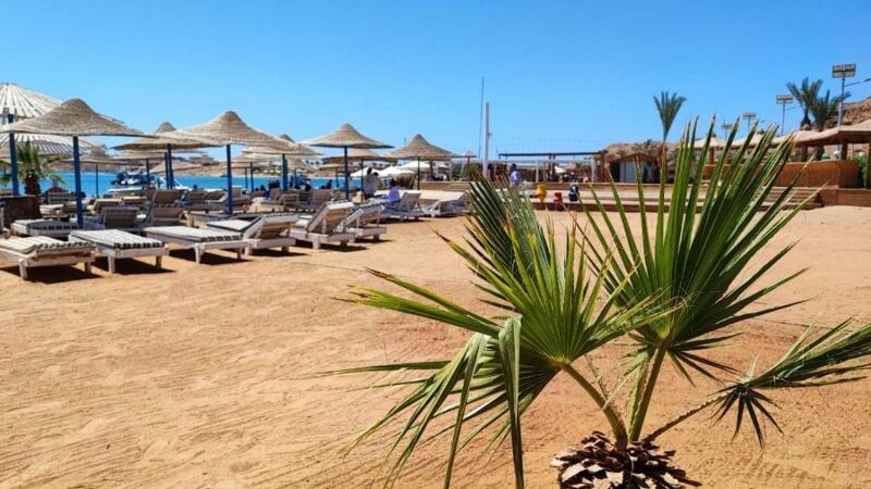 Partner Turquoise 4* pas cher photo 9