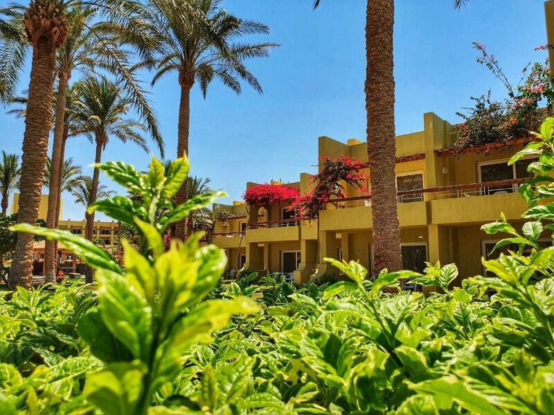 Palm Beach Resort 4* pas cher photo 9