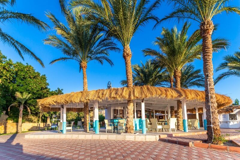 Club Eldorador Sentido Caribbean Soma Bay 5* pas cher photo 15