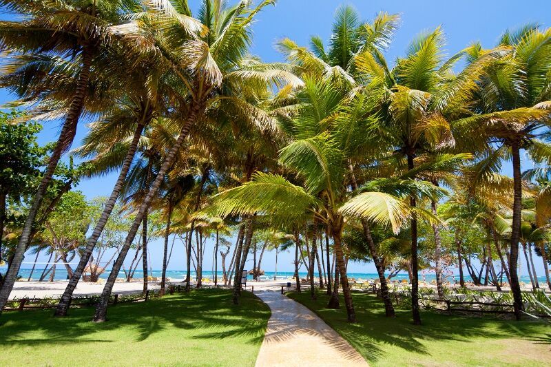 Iberostar Waves Costa Dorada 5* pas cher photo 18