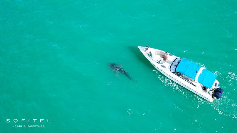 Sofitel Krabi Phokeethra Golf and Spa Resort 5* pas cher photo 25
