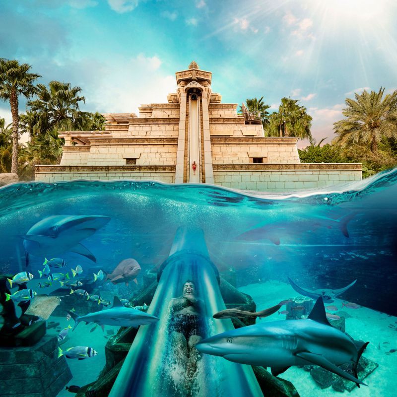 Atlantis The Palm 5* pas cher photo 19