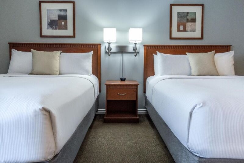 Saint-Laurent Montréal 3* - Sans transfert pas cher photo 5