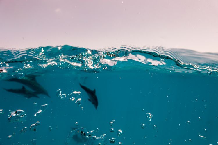 Sun Siyam Iru Veli 5* pas cher photo 10