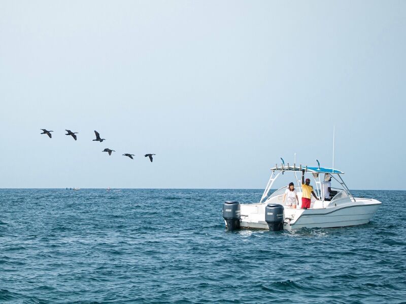 Kappa City Terrou-Bi 5* pas cher photo 14