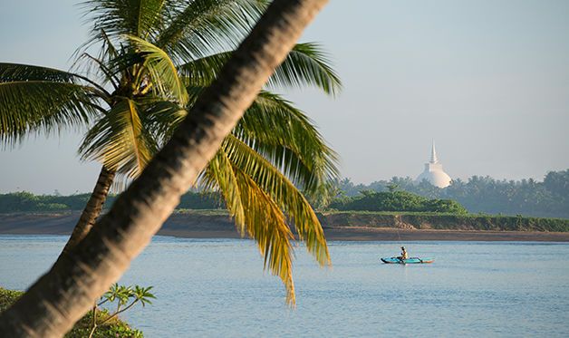 Hôtel Avani Kalutara Resort & Spa 5* pas cher