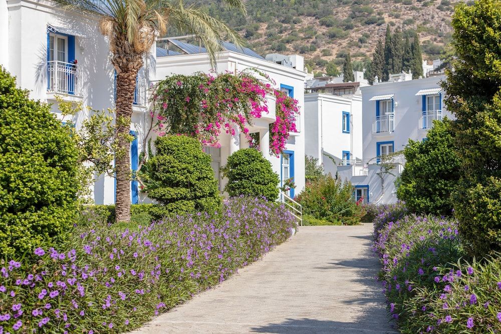 Hôtel Labranda TMT Bodrum 5* pas cher photo 1