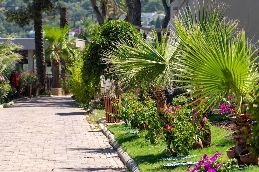 Hôtel Blue Dreams Resort Bodrum Aqua Park 5* pas cher photo 12