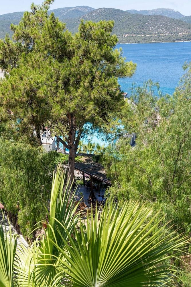 Hôtel Blue Dreams Resort Bodrum Aqua Park 5* pas cher photo 106