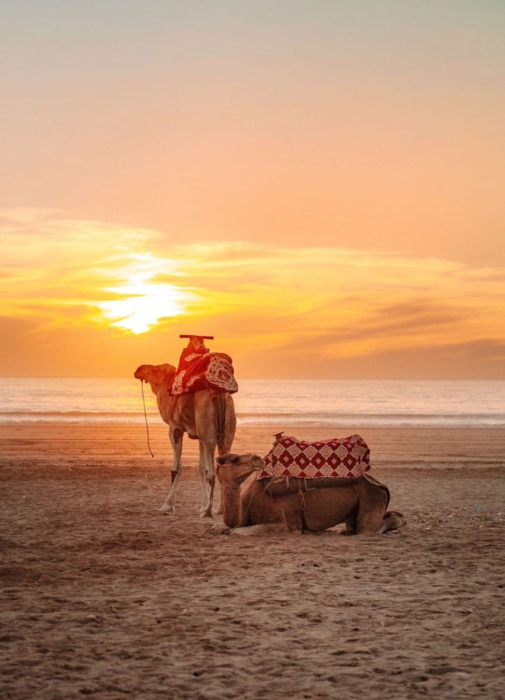 Hôtel Radisson Blu Resort Taghazout Bay Surf Village 4* pas cher photo 35