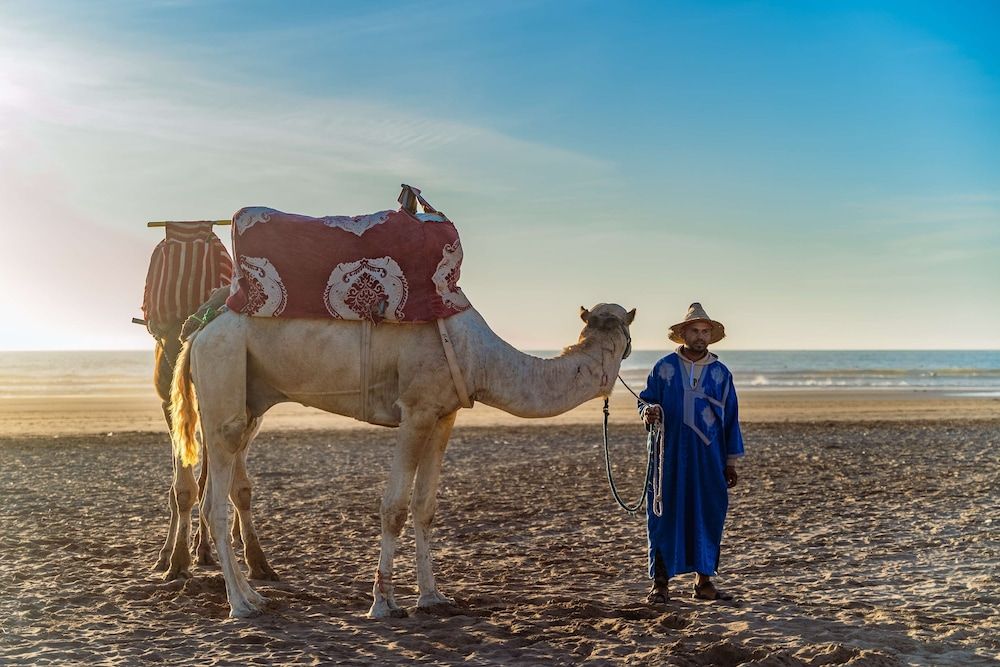 Hôtel Radisson Blu Resort Taghazout Bay Surf Village 4* pas cher photo 38
