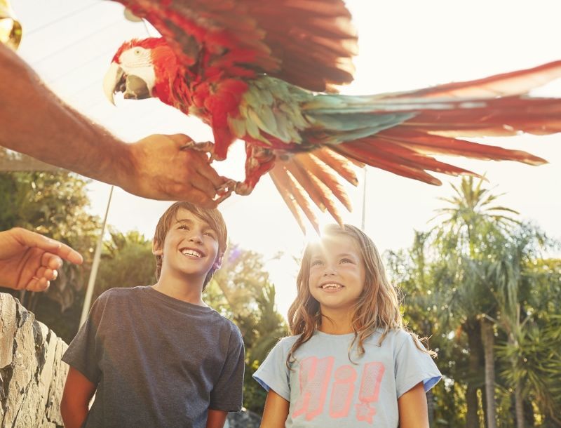 PortAventura 4* - Sans Transfert pas cher photo 18