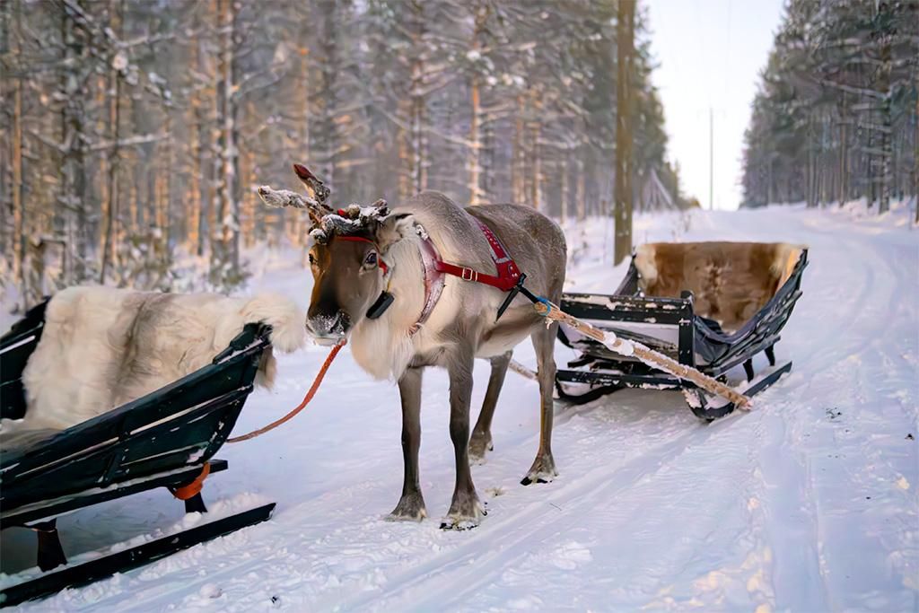 Hôtel Suomutunturi pas cher