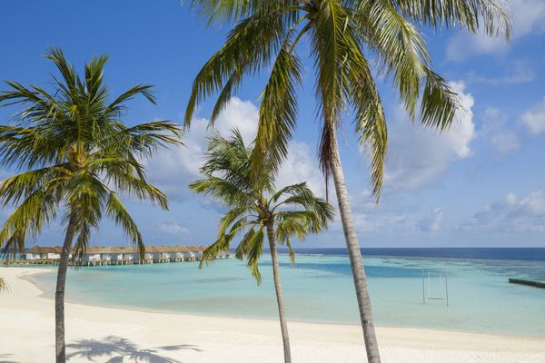 Séjour Outrigger Maldives Maafushivaru 5* pas cher photo 13