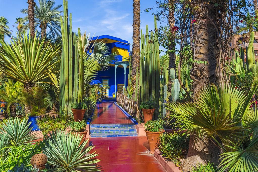 Riad Soleil d'Hiver et Spa pas cher photo 12