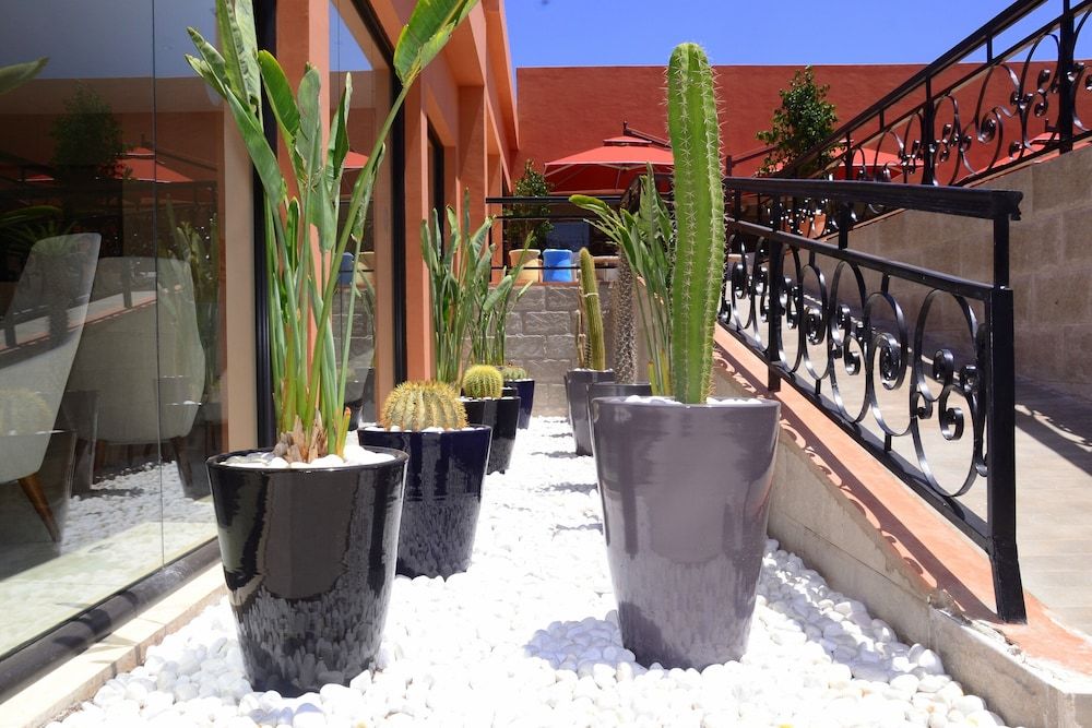 Hôtel Tui Blue Medina Gardens 4* pas cher photo 33