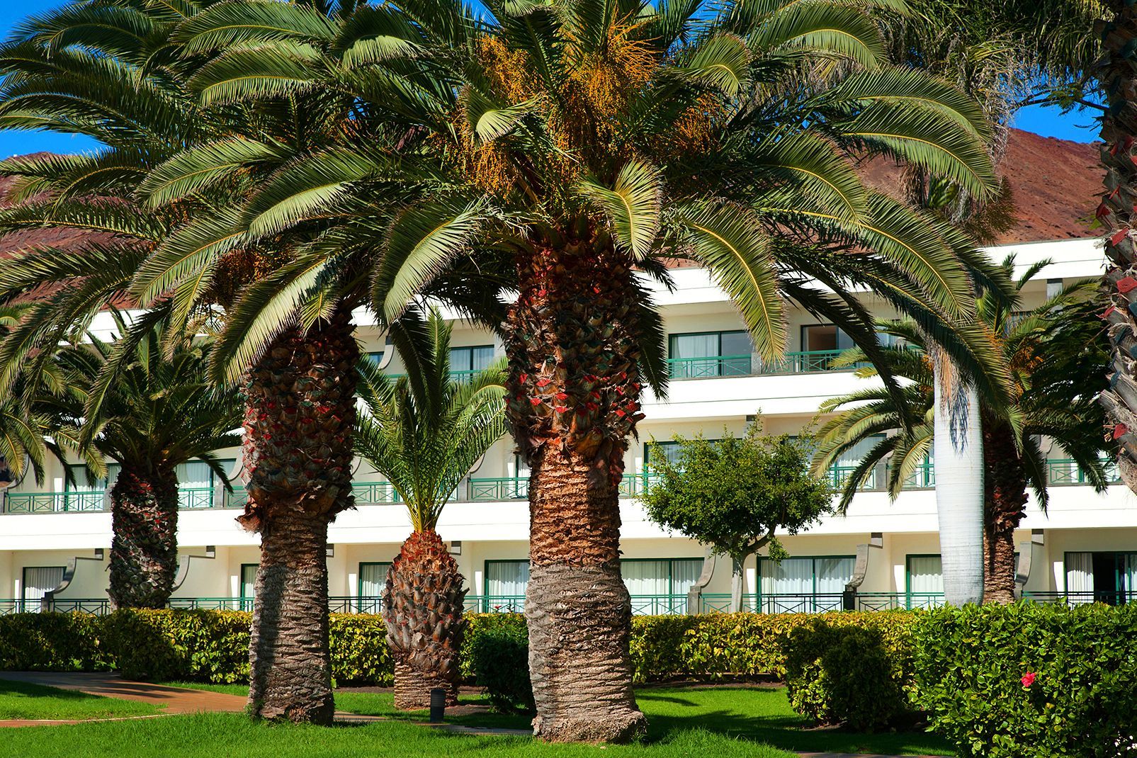 Hôtel Hipotels Natura Palace 4* pas cher photo 18
