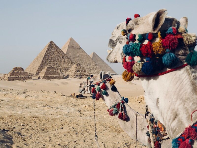 Pharaons Megastars - Visites incluses dont le Grand Musée Egyptien (GEM) pas cher photo 2