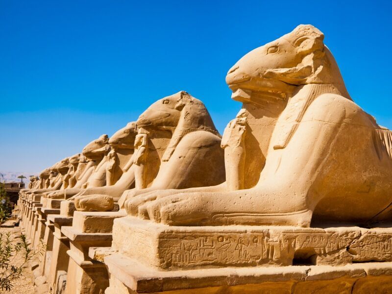 Pharaons Megastars - Visites incluses dont le Grand Musée Egyptien (GEM) pas cher photo 7