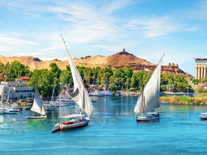 Pharaons Megastars - Visites incluses dont le Grand Musée Egyptien (GEM) pas cher photo 12