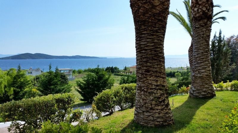 Alexandos Palace 5* pas cher