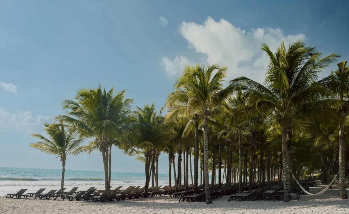 Catalonia Playa Maroma 5* pas cher photo 4