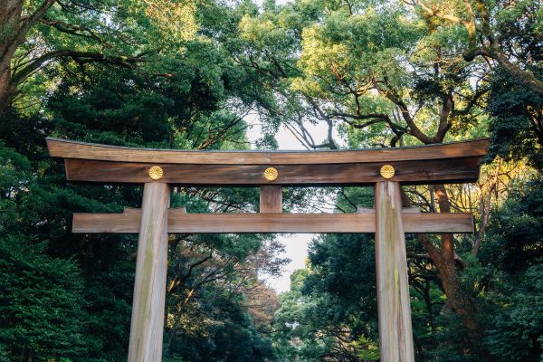 Ohayo Nippon, Du Mont Fuji à l'île des Torii pas cher photo 19