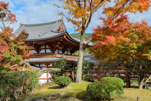Ohayo Nippon, Du Mont Fuji à l'île des Torii pas cher photo 28