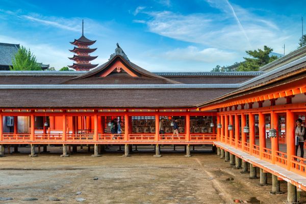 Ohayo Nippon, Du Mont Fuji à l'île des Torii pas cher photo 47