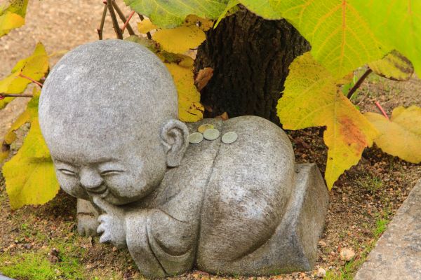 Ohayo Nippon, Du Mont Fuji à l'île des Torii pas cher photo 49