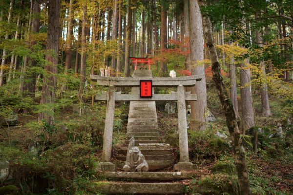 Ohayo Nippon, Du Mont Fuji à l'île des Torii pas cher photo 40
