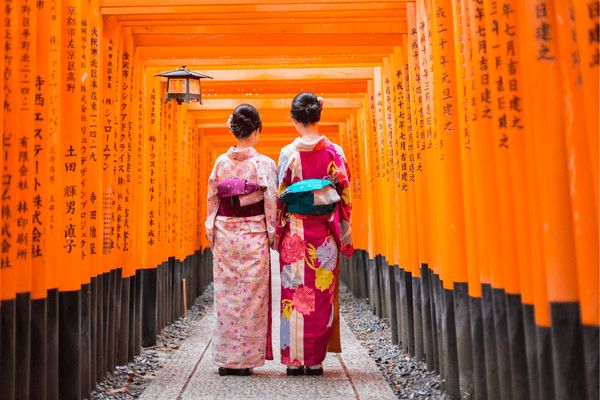 La Voie Sacrée des Dieux, du Torii Flottant de Miyajima au Divin Fuji pas cher photo 31