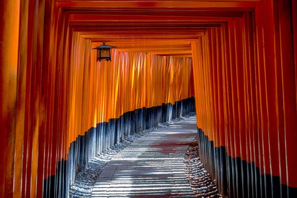 La Voie Sacrée des Dieux, du Torii Flottant de Miyajima au Divin Fuji pas cher photo 32