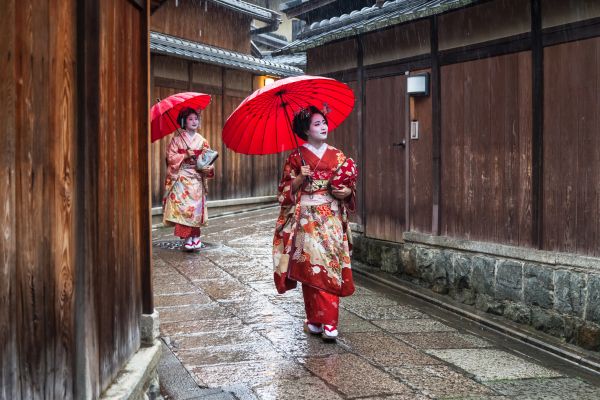 La Voie Sacrée des Dieux, du Torii Flottant de Miyajima au Divin Fuji pas cher photo 43