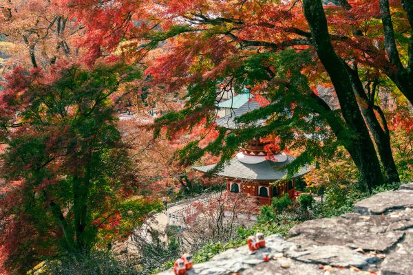 La Voie Sacrée des Dieux, du Torii Flottant de Miyajima au Divin Fuji pas cher photo 5