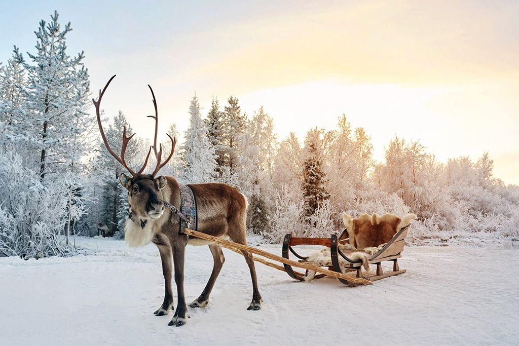 Séjours Multiactivités Hôtel Suomutunturi pas cher photo 2