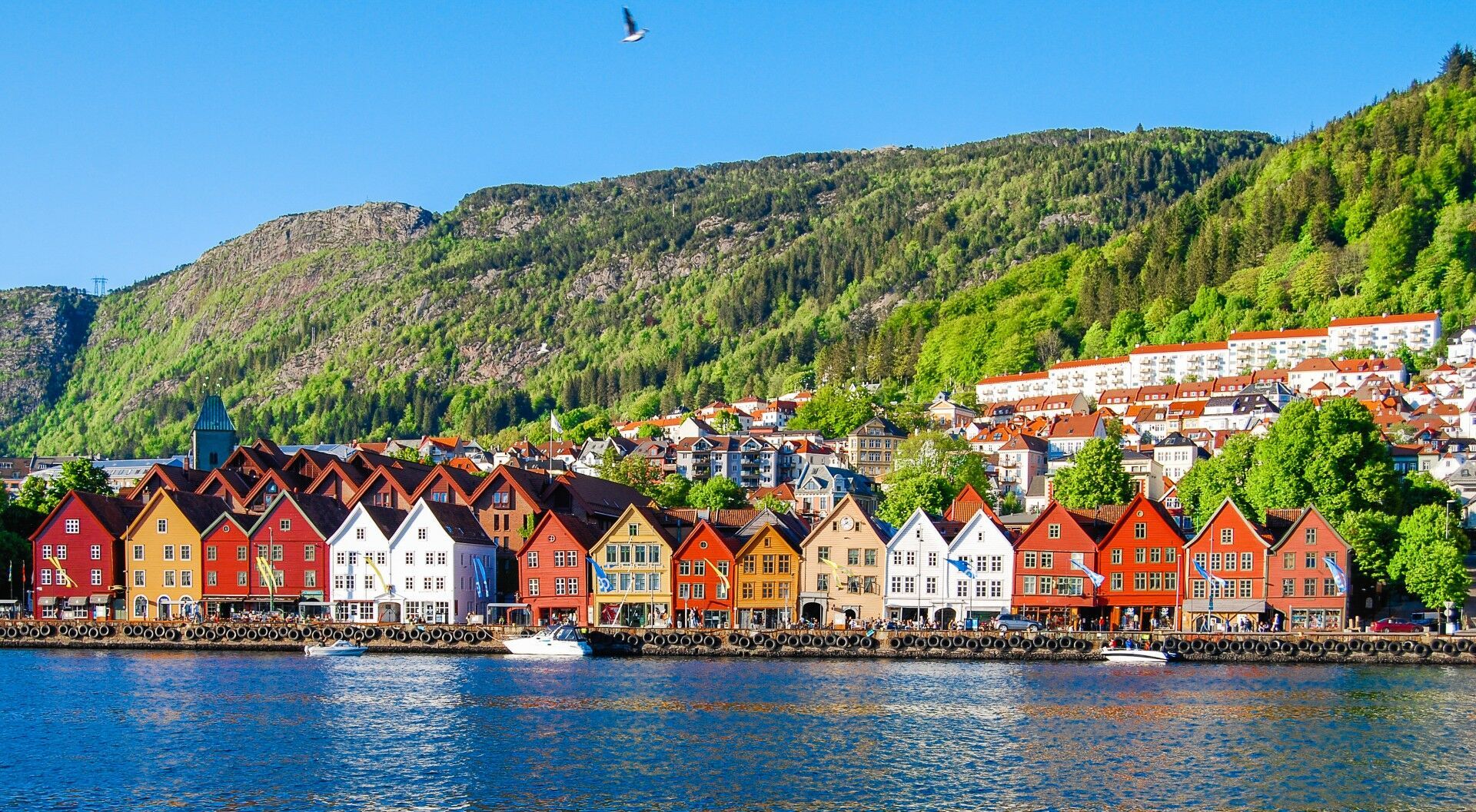 AU RYTHME DES FJORDS 8J/7N pas cher