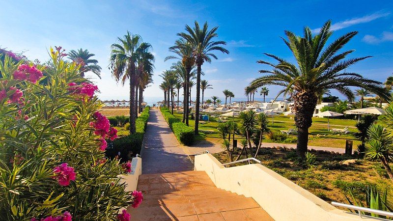 Hôtel Calimera Delfino Beach Resort 4* pas cher photo 5