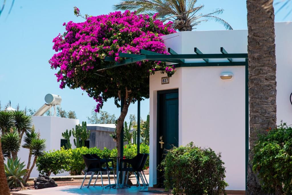 Hôtel HL Club Playa Blanca 4* pas cher photo 12