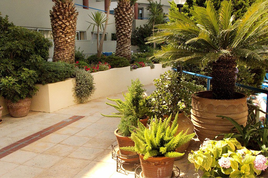 Smart club Ibiscos Garden Hôtel 4* pas cher photo 5