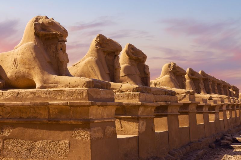 Pharaons Superstars - Le Grand Musée Egyptien (GEM) inclus (12 visites incluses) pas cher photo 8